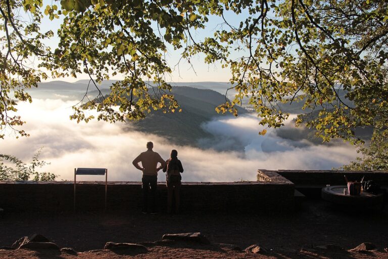 fog-3708022_1280