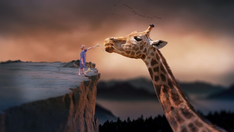giraffe-1959110_1280