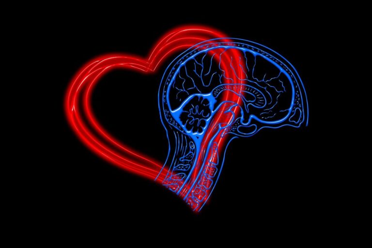 heart-4682756_1280